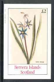 Bernera 1982 Flowers #15 (Scilla amena) imperf deluxe sheet (£2 value) unmounted mint
