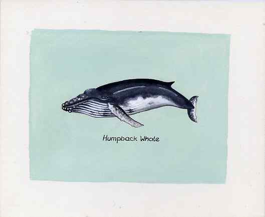 Bernera 1981 Marine Animals (Humpback Whale) original artwork by Sharon File of the B L Kearley Studio, watercolour on board 105 x 80 mm plus issued perf sheetlet incorporating this image