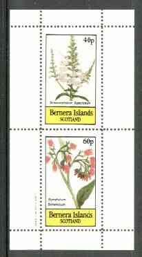 Bernera 1982 Flowers #18 (Dracocephalum & Symphytum) perf,set of 2 values (40p & 60p) unmounted mint