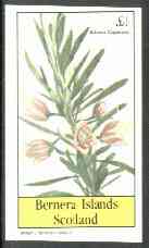 Bernera 1982 Flowers #19 (Aitonia capensis) imperf souvenir sheet (£1 value) unmounted mint