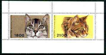 Abkhazia 1996 Cats sheetlet containing complete set of 2 values unmounted mint