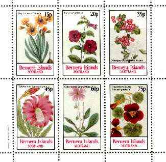 Bernera 1982 Flowers #20 (Petunia, Steptanthera, Crategus etc) perf set of 6 values unmounted mint