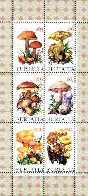 Buriatia Republic 1998 Fungi #01 perf sheetlet containing complete set of 6 values unmounted mint