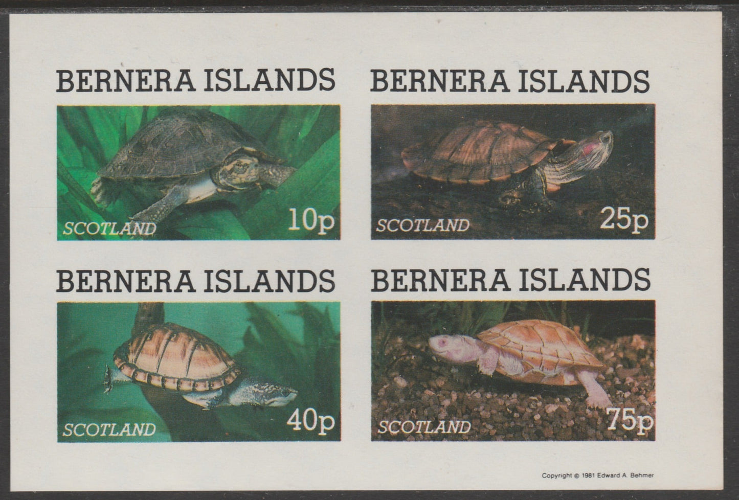 Bernera 1981 Turtles imperf set of 4 values (10p to 75p) unmounted mint