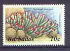 Barbados 1986-7 Pink-tipped Anemone 10c from definitive set of 9, unmounted mint SG 797A