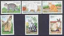 Benin 1998 Domestic Cats complete perf set of 6 values unmounted mint
