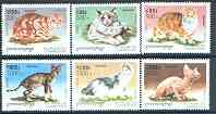 Cambodia 1998 Domestic Cats complete perf set of 6 values unmounted mint