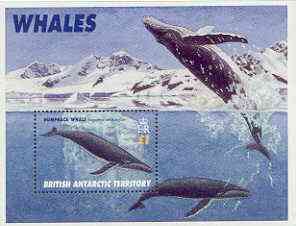 British Antarctic Territory 1996 Whales perf m/sheet unmounted mint, SG MS 269
