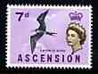 Ascension 1963 Frigate Bird 7d (from bird def set) unmounted mint, SG 76