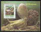 Cambodia 1999 Molluscs (Octopus) perf m/sheet perf m/sheet unmounted mint