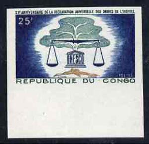 Congo 1963 Human Rights 25f marginal imperf single unmounted mint, as SG38