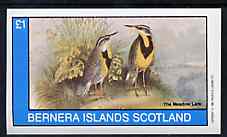 Bernera 1982 Birds #42 imperf souvenir sheet (£1 value) unmounted mint