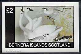 Bernera 1982 Birds #43 imperf deluxe sheet (£2 value) unmounted mint