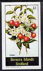 Bernera 1982 Flowers #24 imperf deluxe sheet (£2 value) unmounted mint