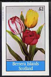 Bernera 1982 Flowers #25 (Tulips) imperf deluxe sheet (£2 value) unmounted mint