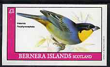 Bernera 1982 Birds #46 imperf souvenir sheet (£1 value) unmounted mint