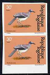 Togo 1981 Bald Crow 30f imperf pair from Birds set unmounted mint, as SG 1529