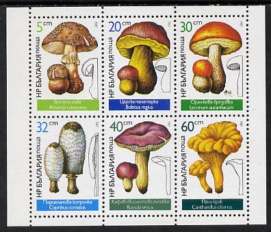 Bulgaria 1987 Edible Fungi sheetlet containing set of 6 unmounted mint, SG 3408-13 (Mi 3546-51)