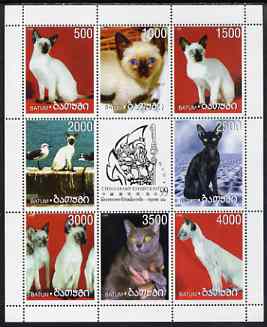 Batum 1999 Domestic Cats perf sheetlet containing 8 values plus label for China 1999 Stamp Exhibition, unmounted mint