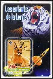 Central African Republic 2005 Young Animals of the World #2 (Big Cats) perf souvenir sheet containing 1 value with Scout logo, fine cto used
