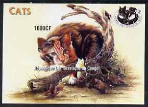 Congo 2005 Domestic Cats imperf m/sheet unmounted mint