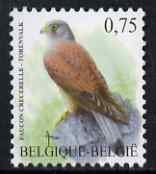 Belgium 2002-09 Birds #5 Common Kestrel 0.75 Euro unmounted mint SG 3704ba