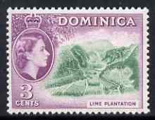 Dominica 1954-62 Lime Plantation 3c (from def set) fine unmounted mint SG143