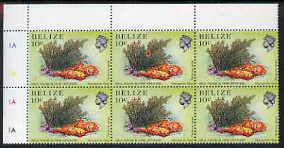 Belize 1984-88 Sea Fans & Fire Sponge 10c corner plate block of 6, one stamp with massive 'flower' variety, unmounted mint SG 772var