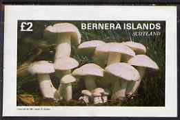 Bernera 1981 Fungi imperf deluxe sheet (£2 value) unmounted mint