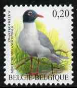 Belgium 2002-09 Birds #5 Mediterranean Gull 0.20 Euro unmounted mint, SG 3697