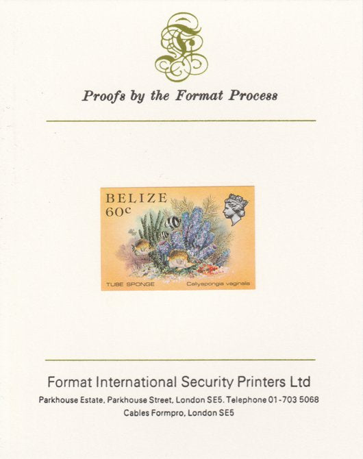 Belize 1984-88 Tube Sponge 60c def imperf proof mounted on Format International proof card as SG 776
