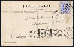 New South Wales 1905 picture postcard (Bullock Team) to UK bearing 2d tied Dunnedar cds, fine