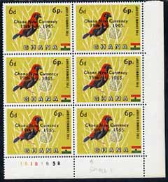 Ghana 1965 New Currency 6p on 6d Bishop Bird unmounted mint plate block of 6 with variety short 1 in date