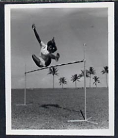 Fiji 1951 High Jump B&W photograph (2 x 2.5 in) as sumitted by the government as suggestion for a new stamp issue, with official h/stamp on reverse
