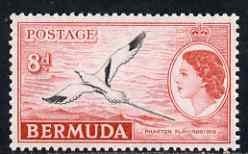 Bermuda 1953-62 White-tailed Tropic Bird 8d unmounted mint, SG 143a