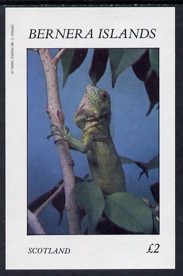 Bernera 1982 Lizards imperf deluxe sheet (£2 value) unmounted mint