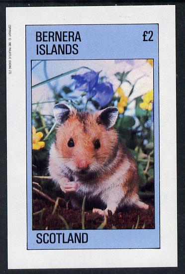 Bernera 1982 Animal (Gerbil) imperf deluxe sheet (£2 value) unmounted mint