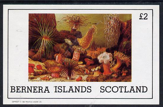 Bernera 1982 Marine Life imperf deluxe sheet (£2 value) unmounted mint