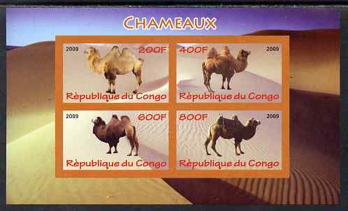 Congo 2009 Camels imperf sheetlet containing 4 values unmounted mint