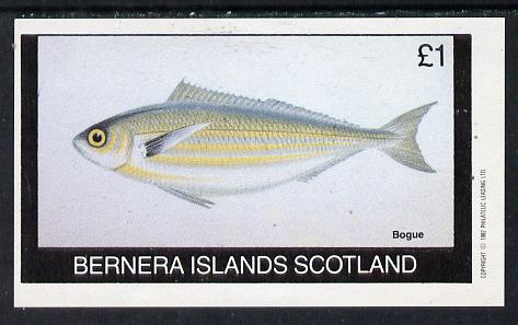 Bernera 1982 Fish (Bogue) imperf souvenir sheet (£1 value) unmounted mint