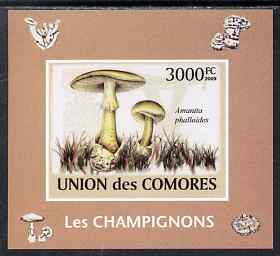 Comoro Islands 2009 Mushrooms imperf s/sheet unmounted mint. Note this item is privately produced and is offered purely on its thematic appeal, it has no postal validity