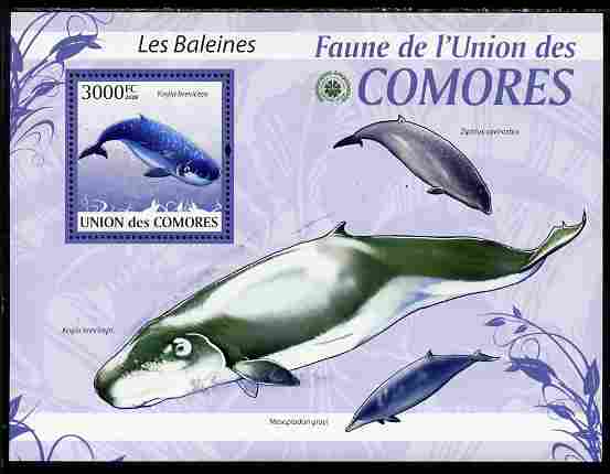 Comoro Islands 2009 Whales perf s/sheet unmounted mint Yv 197