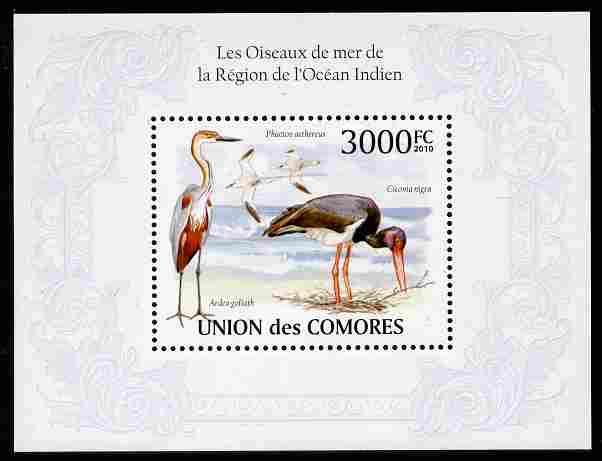 Comoro Islands 2009 Birds from Indian Ocean Region perf m/sheet unmounted mint, Michel BL 575