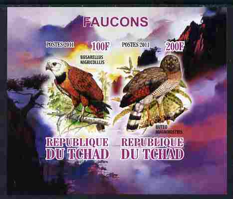 Chad 2011 Birds of Prey imperf sheetlet containing 2 values unmounted mint