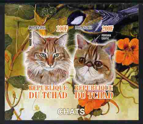 Chad 2011 Domestic Cats imperf sheetlet containing 2 values unmounted mint