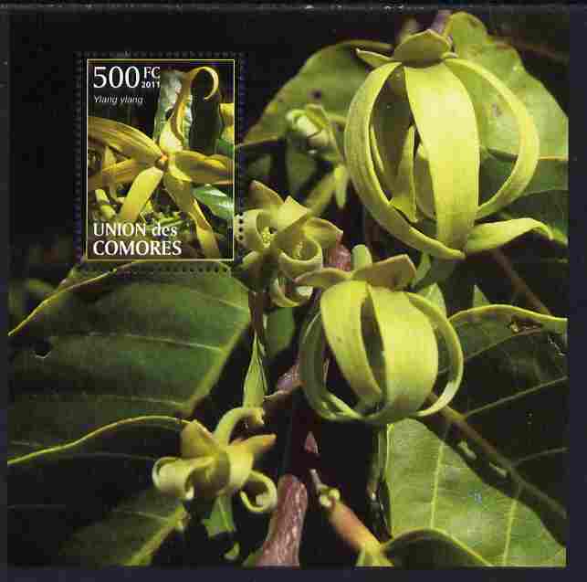Comoro Islands 2011 Plants perf m/sheet (Ylang Ylang) unmounted mint