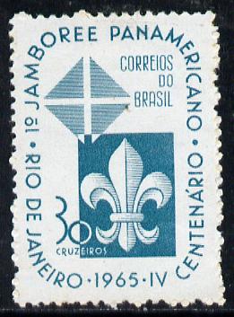 Brazil 1965 Pan-American Scout Jamboree, SG 1123