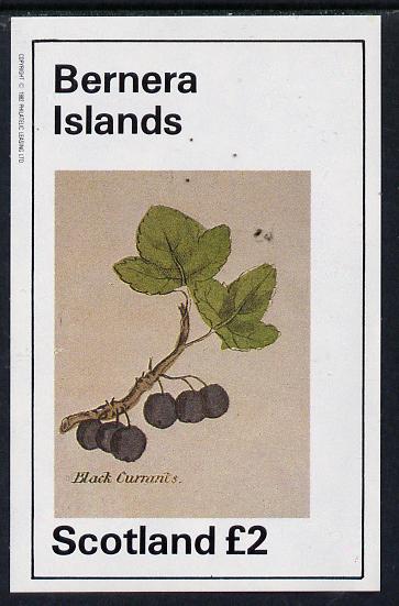 Bernera 1982 Fruit (Black Currant) imperf deluxe sheet (£2 value) unmounted mint