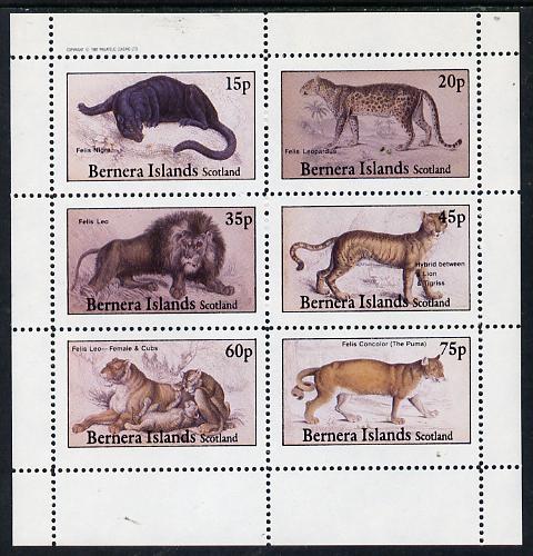Bernera 1982 Animals (Lion, leopard, Puma etc) perf set of 6 values (15p to 75p) unmounted mint