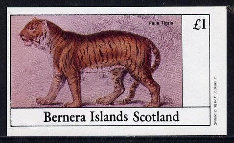 Bernera 1982 Animals (Tiger) imperf souvenir sheet (£1 value) unmounted mint